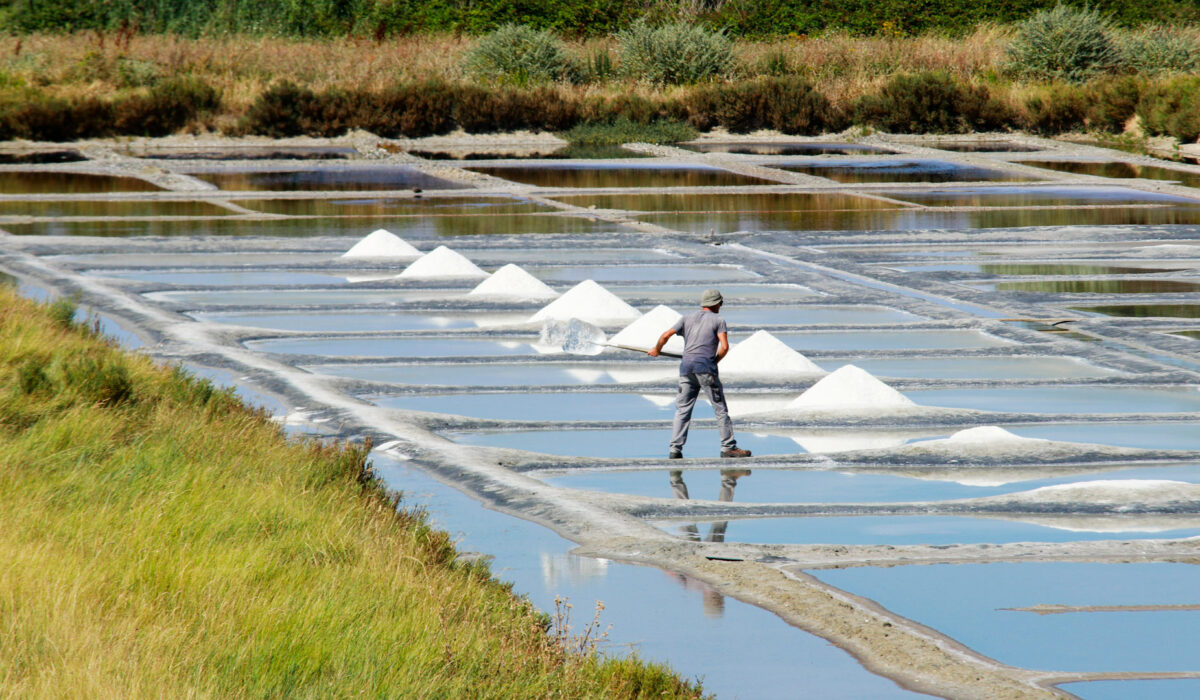 Marais Salants - Île de Noirmoutier